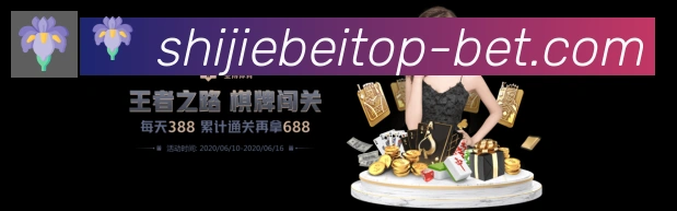奖项证书